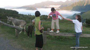 20080804_164