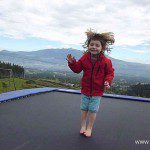 P1000231 P1000231