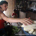 Pelando el maiz