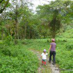 Adentrándonos en el camino de los quetzales