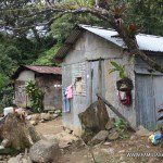 Casas nogle bogle