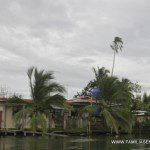 Junto al embarcadero de isla bastimentos. bocas de Toro. Panamá.