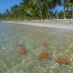 Playa Estrellas en bocas de Drago