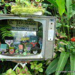 TV ecológica en el jardín del Explorador