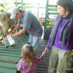 Cada mañana se ordeñan las cabras Cada mañana se ordeñan las cabras