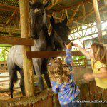 Con los caballos Con los caballos