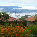 Las cabañas en primer término y el Valle de Orosí Las cabañas en primer término y el Valle de Orosí
