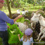 Las cabras no adoraban..sobre todo a la hora de comer Las cabras no adoraban..sobre todo a la hora de comer