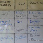 Reparto de tareas de la mañana Reparto de tareas de la mañana