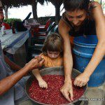 Ayudando a limpiar el frijol