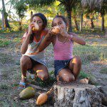 Deliciosa agua de coco