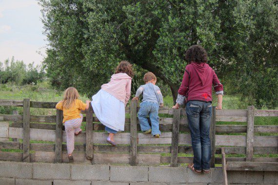 Les Esplanes agroturismo rural ecológico, unas vacaciones diferentes