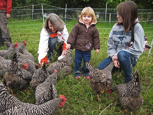 Vacaciones en familia en la granja