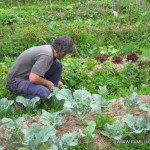 El huerto ecológico, un prodigio a cuidar