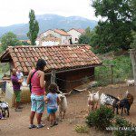 La visita a las cabras con el valle al fondo