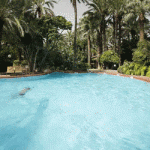 cura-piscina