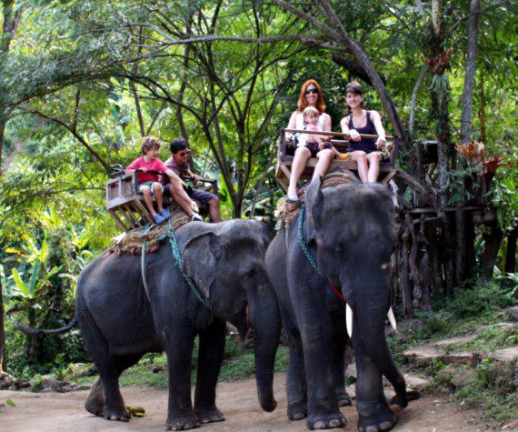 Viajar con niños a Tailandia y los elefantes son casi una misma cosa