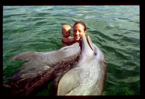 delfines en familia
