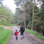 Precisos senderos por recorrer en Glendalough