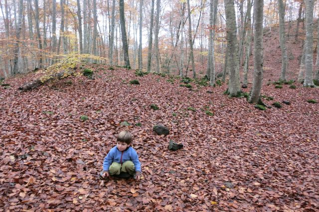 La Garrotxa con niños otoño