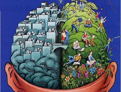 Cerebro1