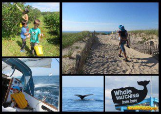 Cape Cod ofrece un montón de actividades para la familia
