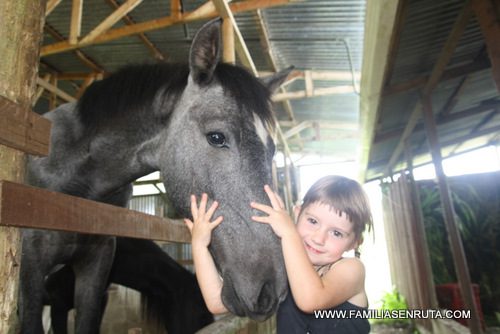 Los caballos son como un imán para los niños