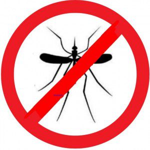 Como evitar las picaduras de mosquitos de manera eficaz