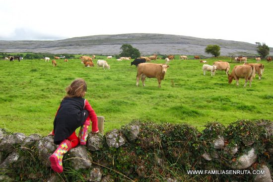 Irlanda