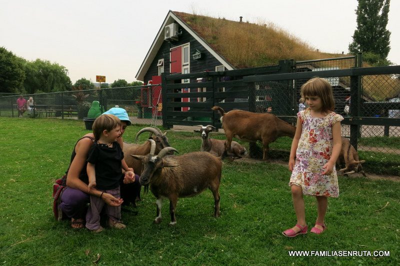 granjas para ir con niños en Amsterdam