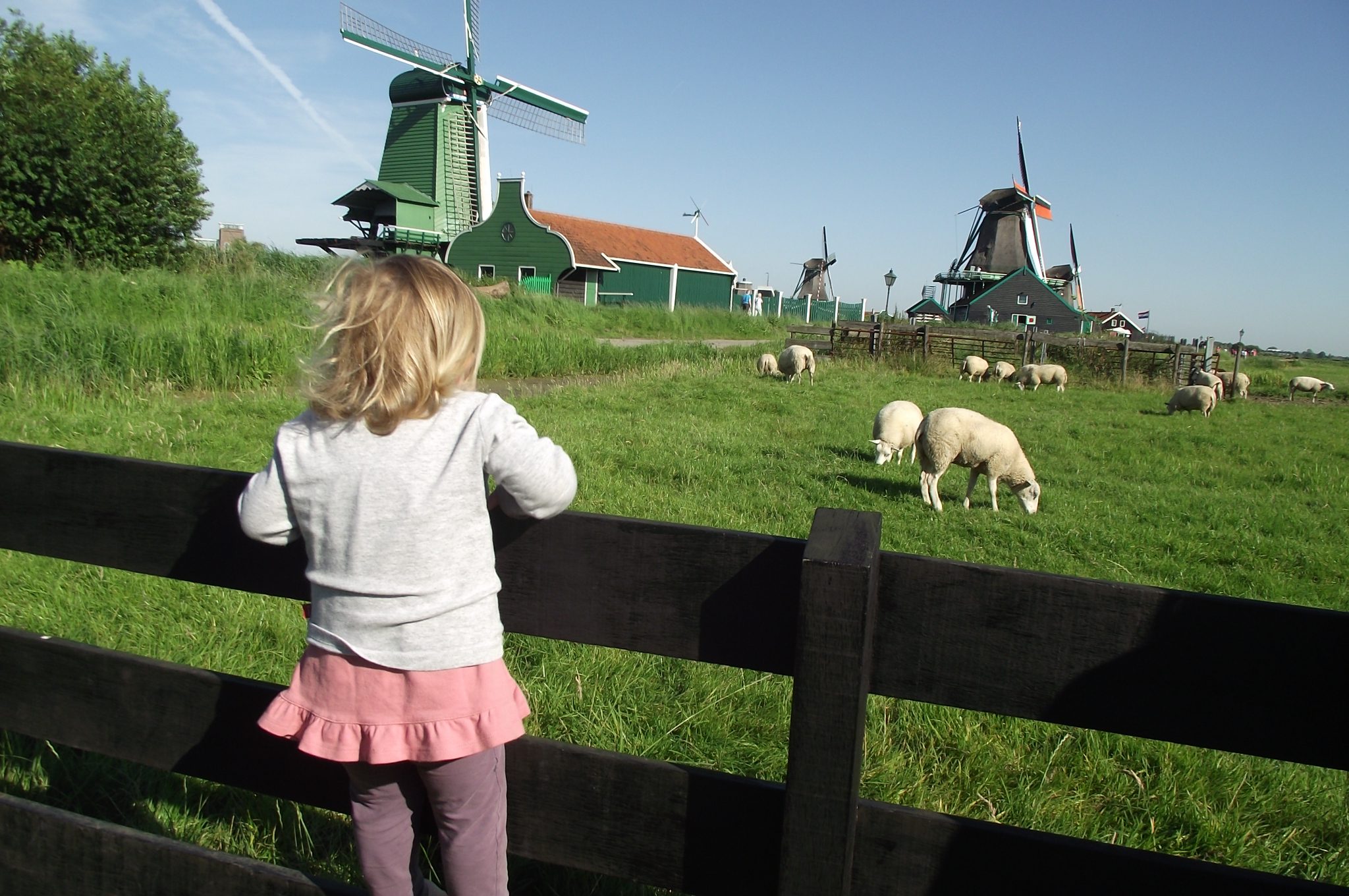 7 razones para viajar a los Paises Bajos con niños