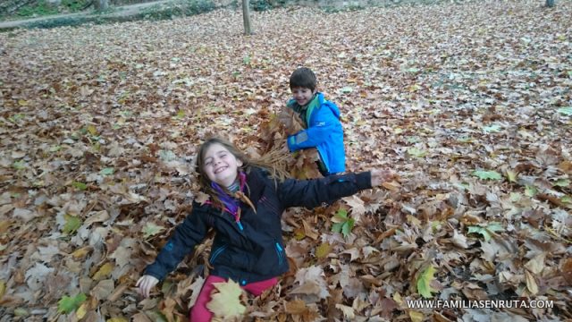 Más de 15 bosques encantados para disfrutar con niños en otoño
