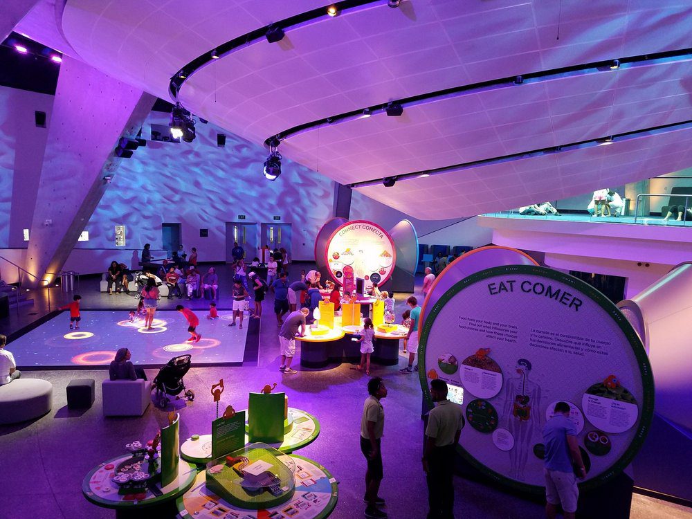 frost-museum-miami-familias-en-ruta