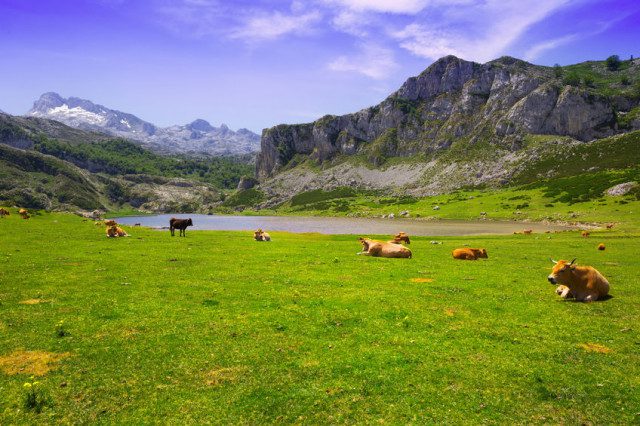 Asturias con niños en 12 planes para no perderse