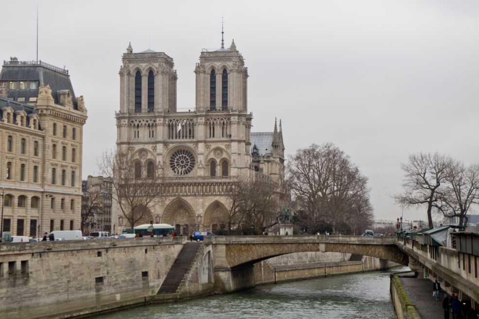 Catedral Notre Dame París en familia