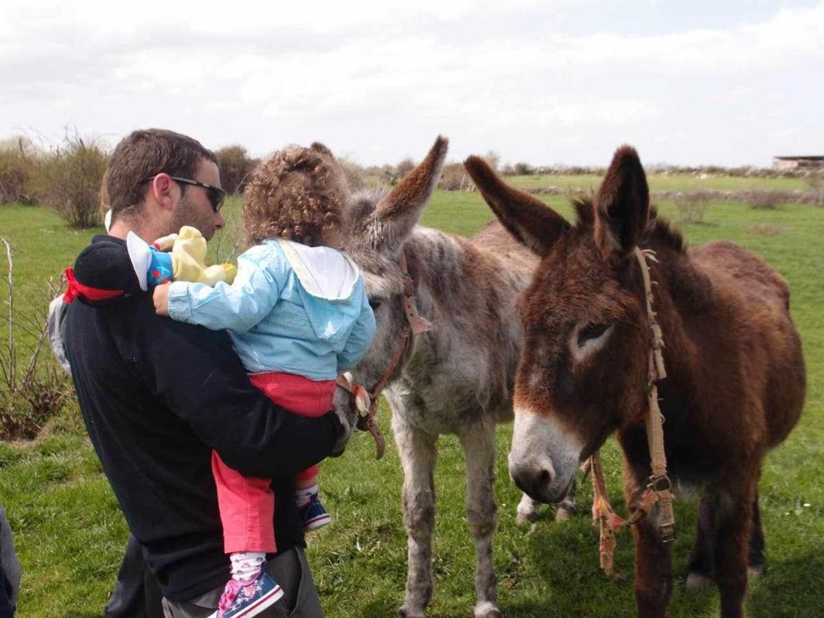 Segovia con niños en 15 planes para no perderse