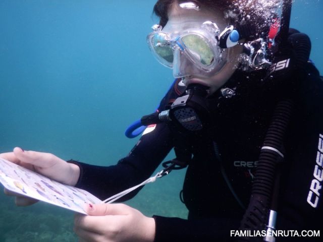 Buceo en Blanes Sub