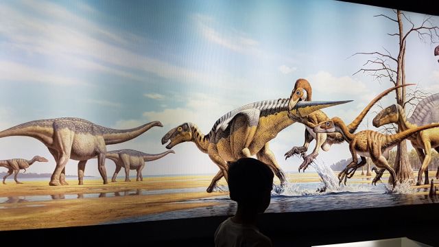 Museo de los dinosaurios de Aren. Ribagorza con niños