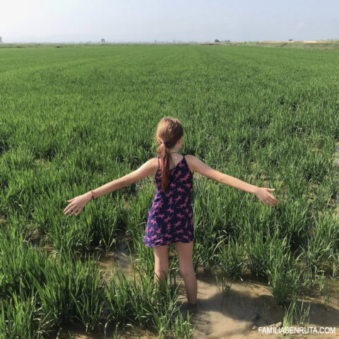 Delta de l'Ebre con niños