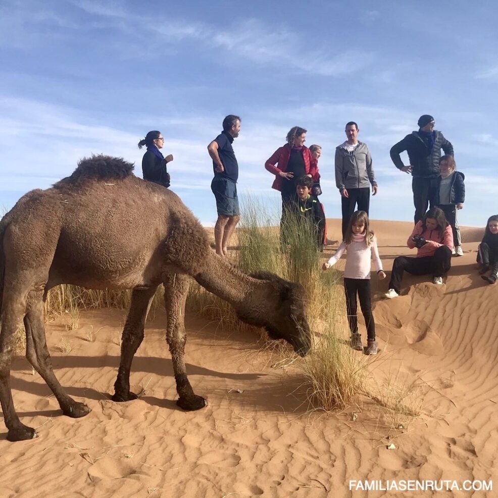 Marruecos desierto familia