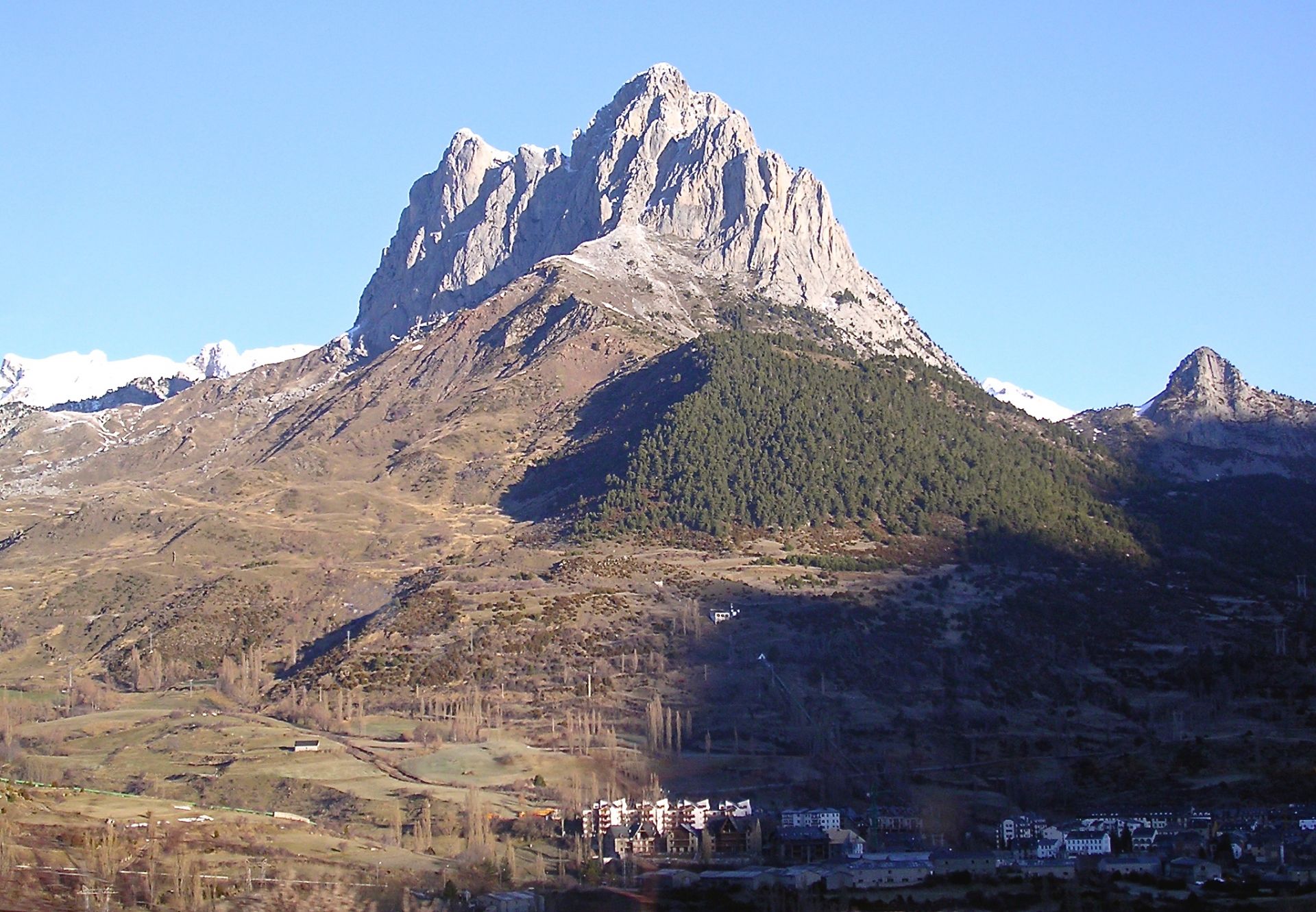 Pirineo aragonés familia