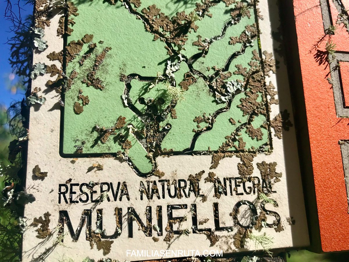 Bosque de Muniellos Fuentes del Narcea