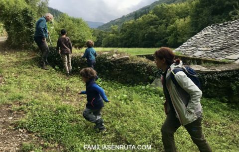 Asturias en familia tras la pista del oso pardo