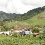 De Panamá a Costa Rica por el paso fronterizo de Río Sereno