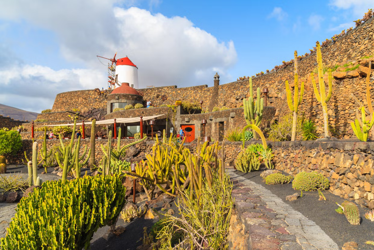 Lanzarote con niños