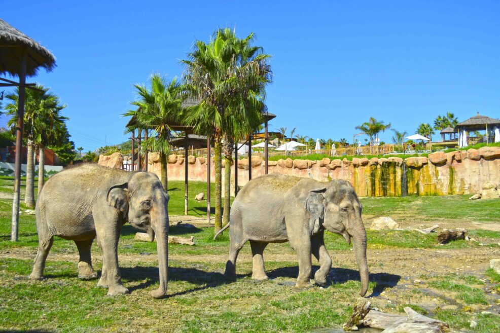 Terra Natura