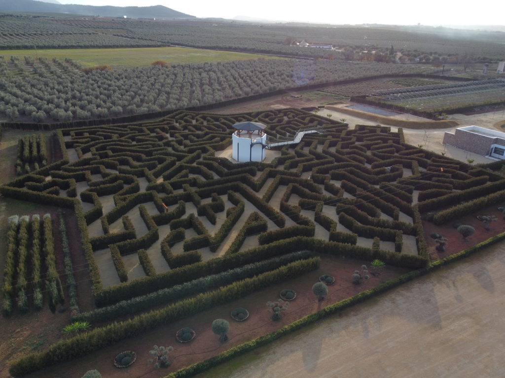 Málaga con niños, top 20 cosas que hacer