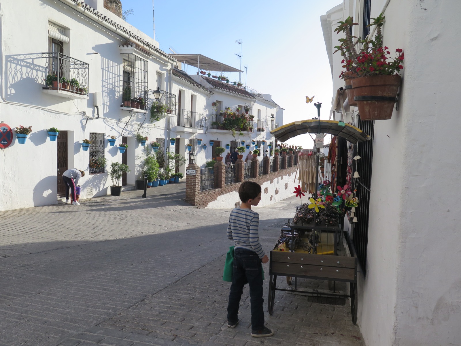 Top 15 excursiones para familias en Málaga