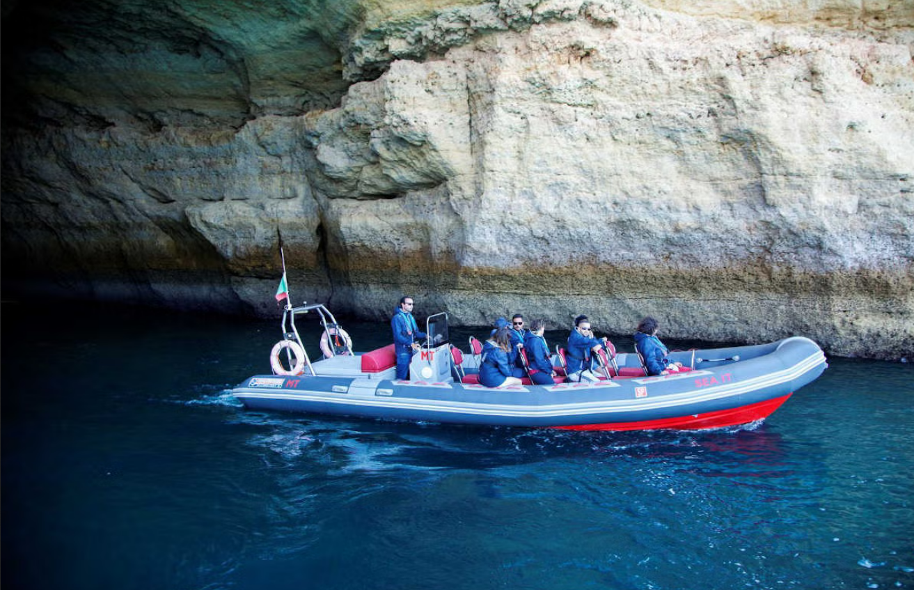 avistamiento de delfines en el Algarve