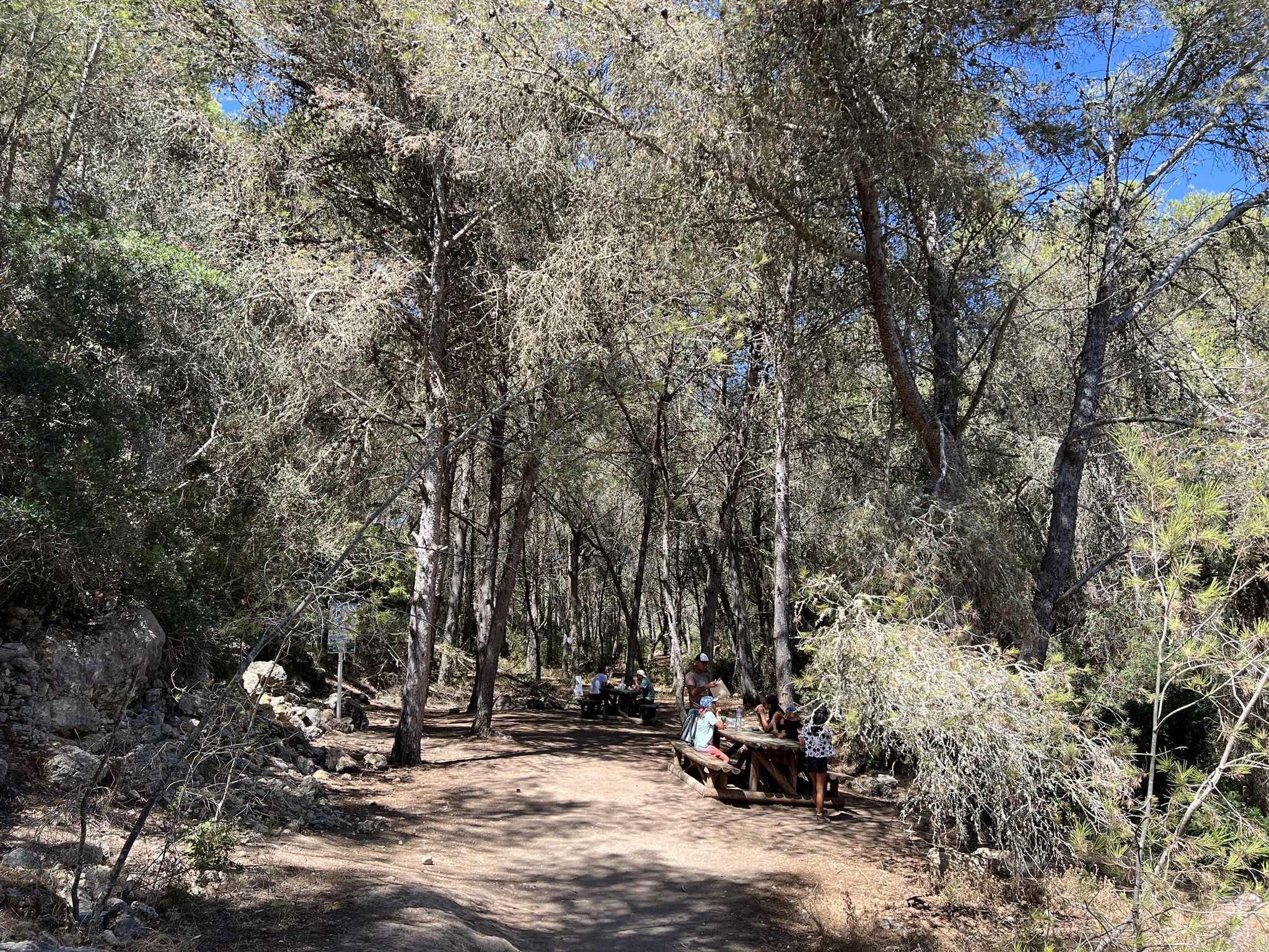 Ruta de los 7 Valles Colgantes con niños